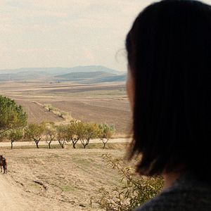 Bilder Gli ultimi a vederli vivere