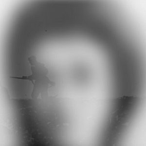 Bilder Une rose ouverte / Warda