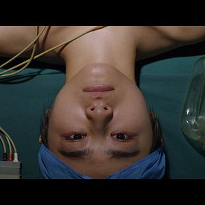 Bilder A Dog Barking at the Moon