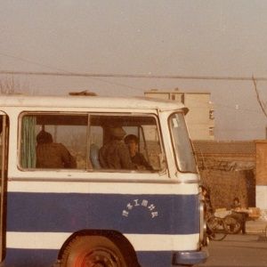 Bilder Breathless Animals