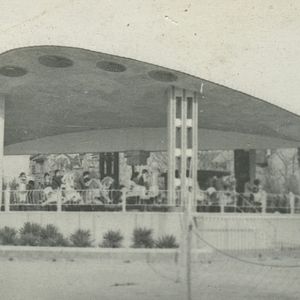 Bilder Breathless Animals