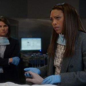 Bilder Mackenzie Meehan