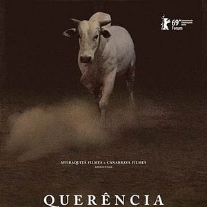Bilder Querência - Heimkehren