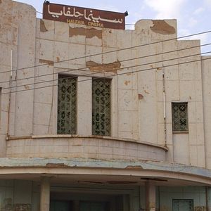 Bilder Talking About Trees