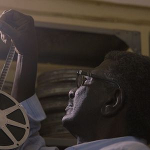 Bilder Talking About Trees