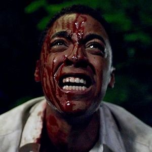 Bilder Central Park - Massaker in New York