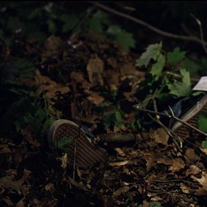 Bilder Central Park - Massaker in New York