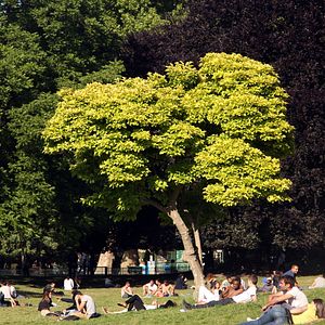 Bilder Quand Je Veux, Si Je Veux !