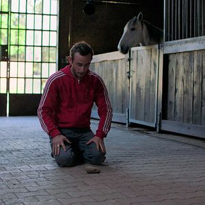 Bilder Farewell to the Night