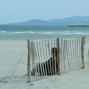 Bilder Farewell to the Night