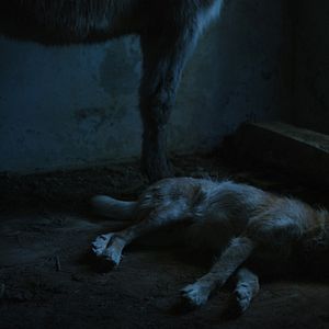 Bilder Ich war zuhause, aber...