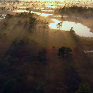 Bilder The King's Ring - Die letzte Schlacht