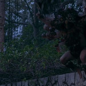 Bilder Curse Of The Mayans