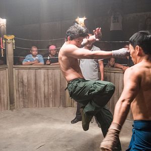 Bilder Tiger Hu Chen