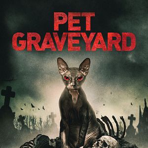 Bilder Friedhof am Ende der Welt