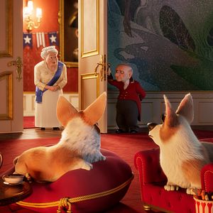 Bilder Royal Corgi - Der Liebling der Queen