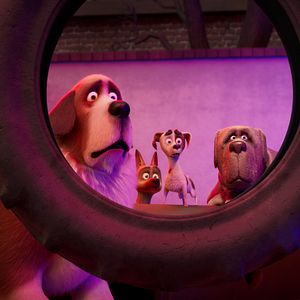 Bilder Royal Corgi - Der Liebling der Queen