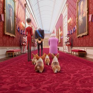 Bilder Royal Corgi - Der Liebling der Queen