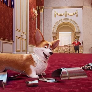 Bilder Royal Corgi - Der Liebling der Queen