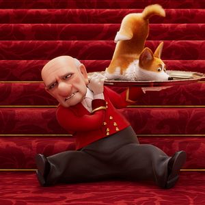 Bilder Royal Corgi - Der Liebling der Queen