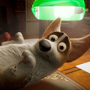 Bilder Royal Corgi - Der Liebling der Queen