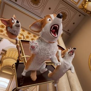 Bilder Royal Corgi - Der Liebling der Queen