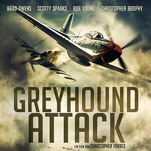 Bilder Greyhound Attack