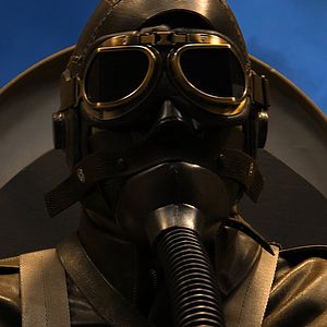 Bilder Greyhound Attack