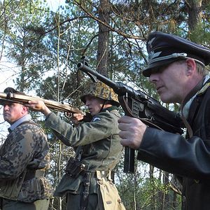 Bilder Greyhound Attack