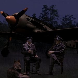 Bilder Greyhound Attack