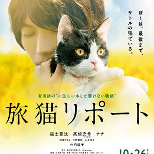 Bilder The Travelling Cat Chronicles