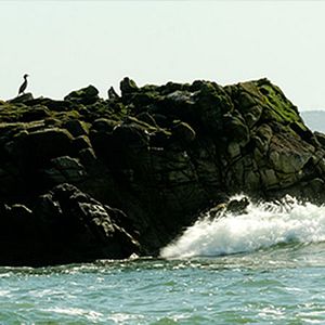 Bilder Le Jeûne, à la croisée des chemins