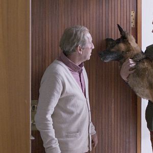 Bilder Under The Tree