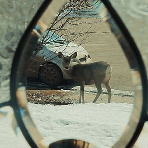 Bilder Dark Eden - Der Albtraum vom Erdöl