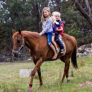 Bilder Zwei Familien auf Weltreise - Der Film