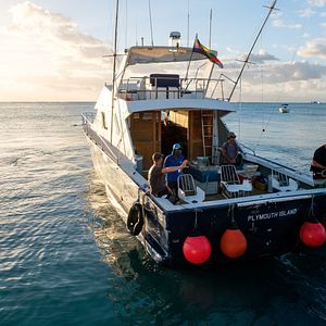 Bilder Im Netz der Versuchung