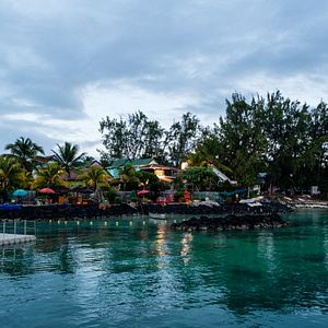 Bilder Im Netz der Versuchung