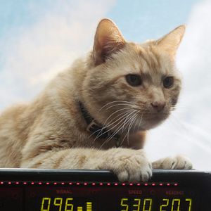 Bilder Captain Marvel