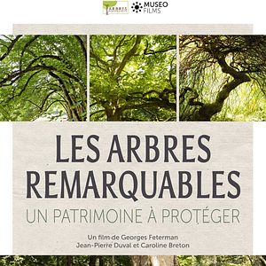 Bilder Les Arbres Remarquables, Un Patrimoine À Protéger