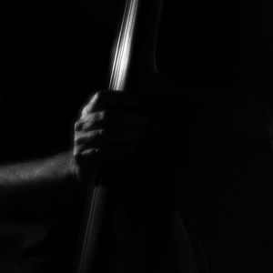 Bilder Mingus Erectus