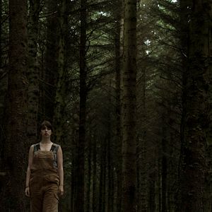 Bilder The Hole In The Ground