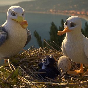 Bilder Manou – flieg‘ flink!