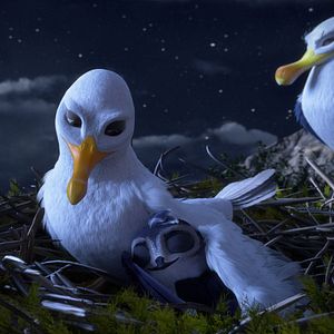 Bilder Manou – flieg‘ flink!