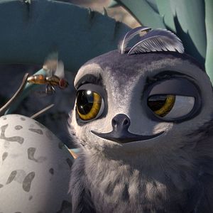 Bilder Manou – flieg‘ flink!