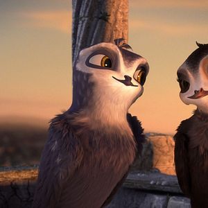 Bilder Manou – flieg‘ flink!