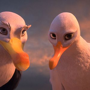 Bilder Manou – flieg‘ flink!