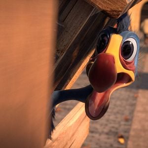 Bilder Manou – flieg‘ flink!