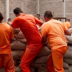 Bilder 45 días en Jarbar