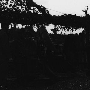 Bilder They Shall Not Grow Old