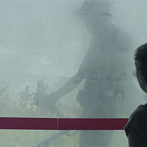 Bilder Los tiburones